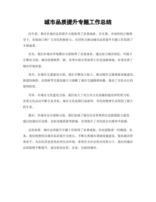 城市品质提升专题工作总结