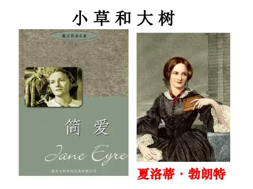 苏教版六年级上册语文 9 小草和大树课件