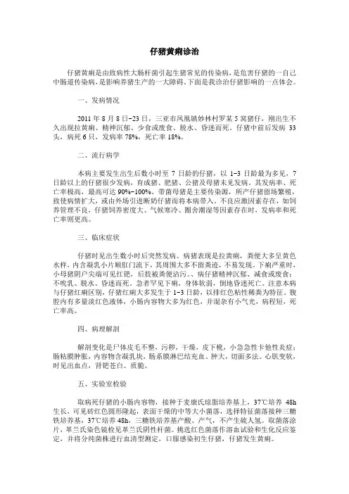 仔猪黄痢诊治