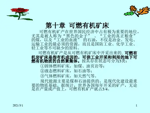 矿床学第十章可燃有机矿床全解PPT精品课件