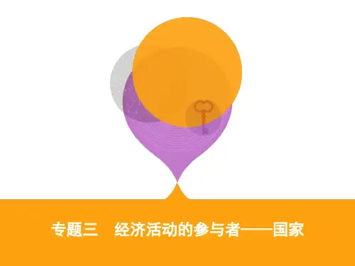 专题三 经济活动的参与者——国家