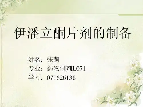 张莉 毕业答辩