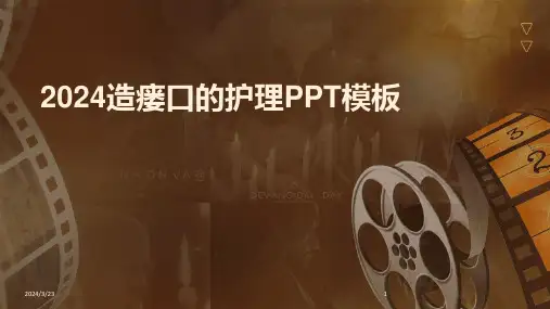 2024年度2024造瘘口的护理PPT模板