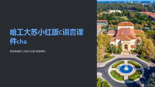 哈工大苏小红版C语言课件cha