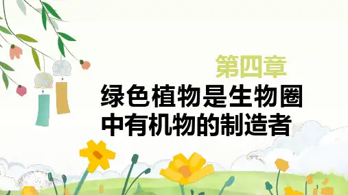 第四章绿色植物是生物圈中有机物的制造者课件- 人教版生物七年级上册