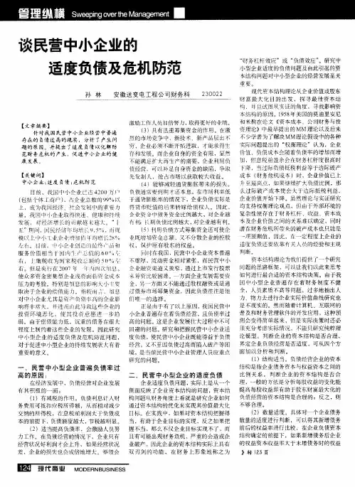 谈民营中小企业的适度负债及危机防范