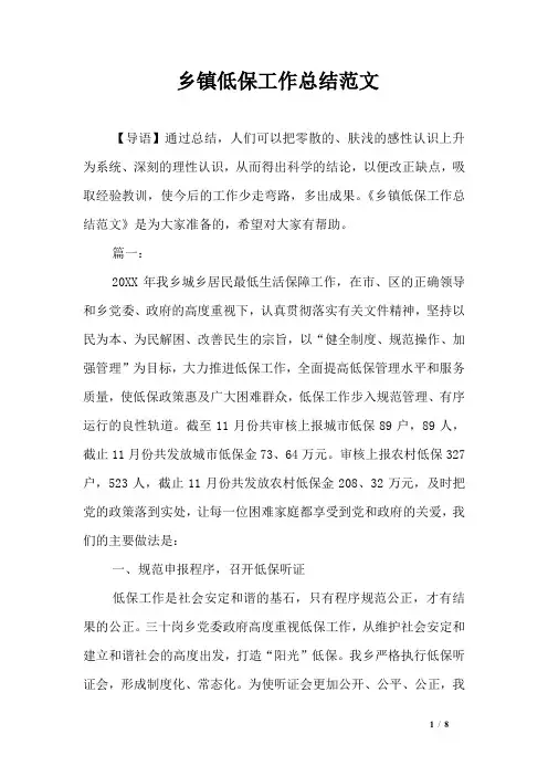 乡镇低保工作总结范文