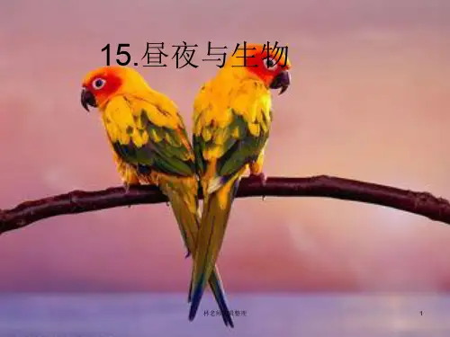 青岛小学科学六上《15、昼夜与生物》PPT课件 (10)