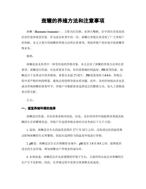 斑鳜的养殖方法和注意事项