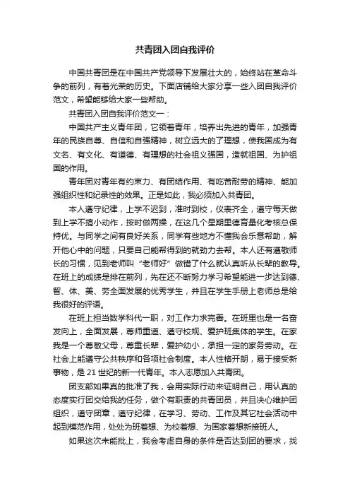 共青团入团自我评价