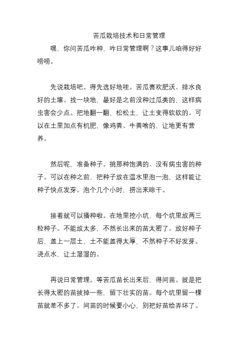 苦瓜栽培技术和日常管理