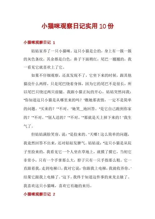 小猫咪观察日记实用10份