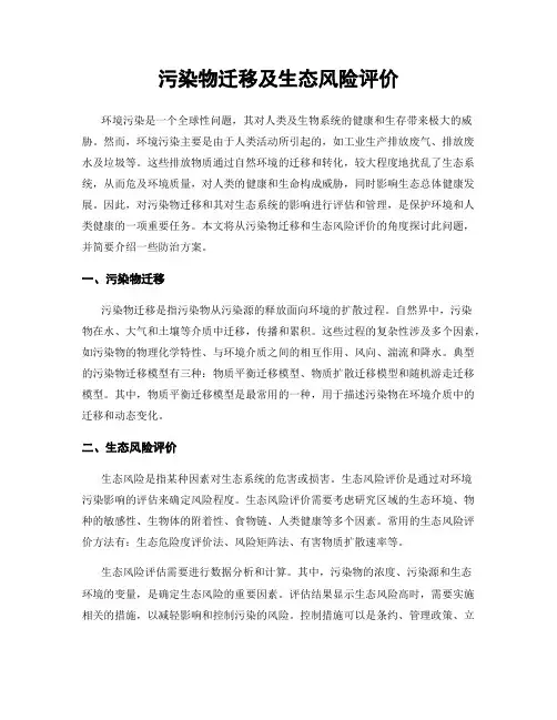 污染物迁移及生态风险评价