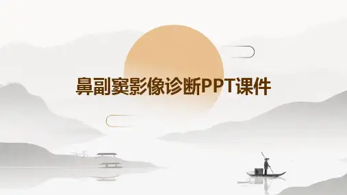 鼻副窦影像诊断ppt课件