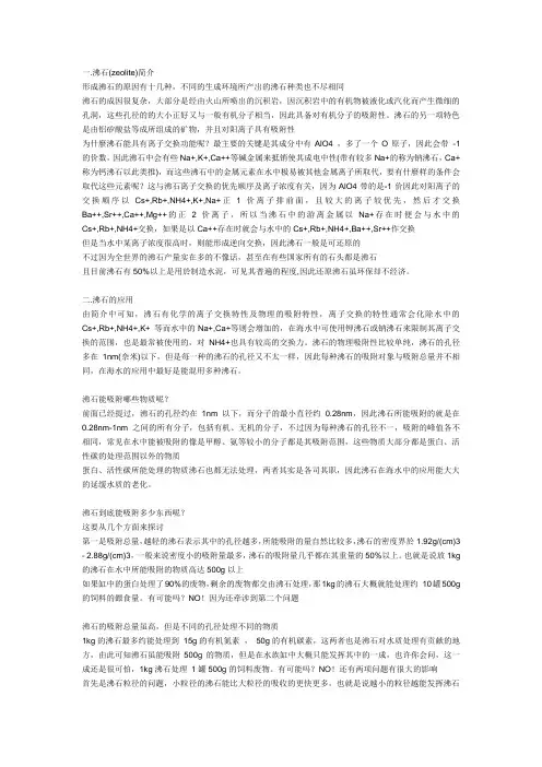沸石