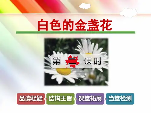 四年级语文下册《白色的金盏花【第2课时】》课件【教科版适用】