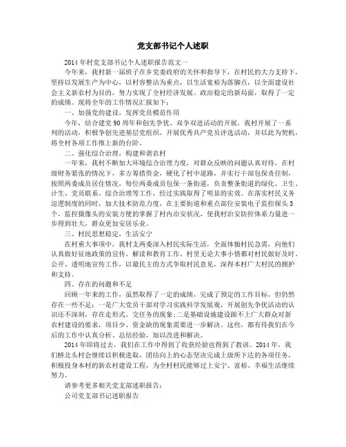 党支部书记个人述职