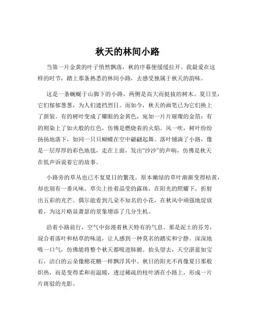 秋天的林间小路