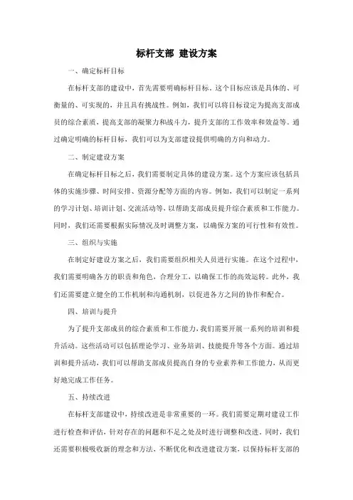 标杆支部 建设方案