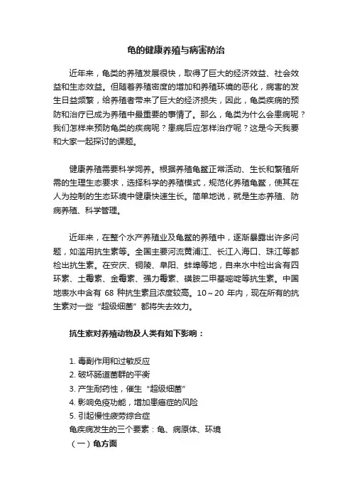龟的健康养殖与病害防治