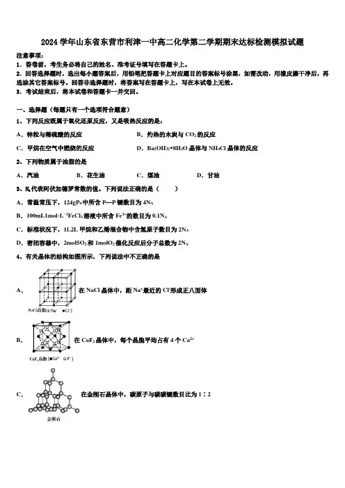 2024学年山东省东营市利津一中高二化学第二学期期末达标检测模拟试题(含解析)