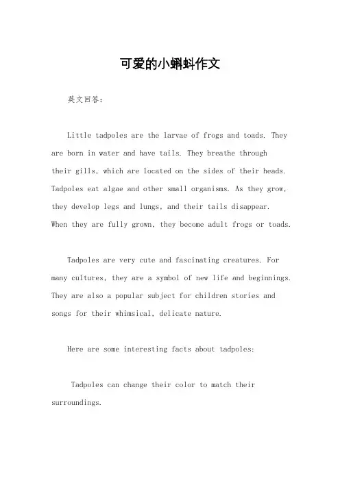 可爱的小蝌蚪作文