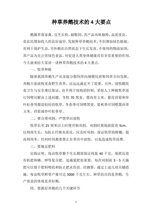 种草养鹅技术的4大要点