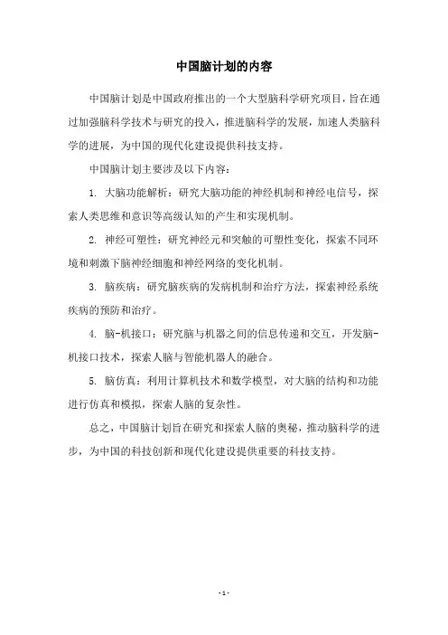 中国脑计划的内容