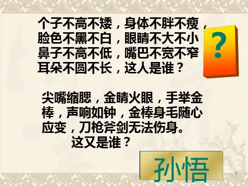 金岳霖先生完美版PPT课件