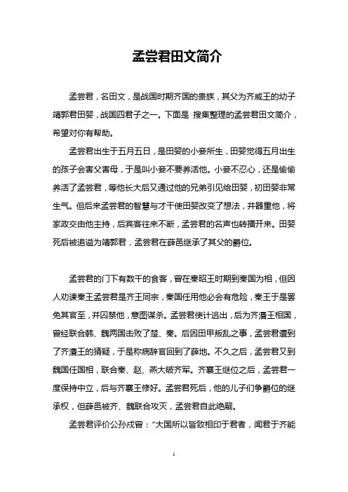 孟尝君田文简介