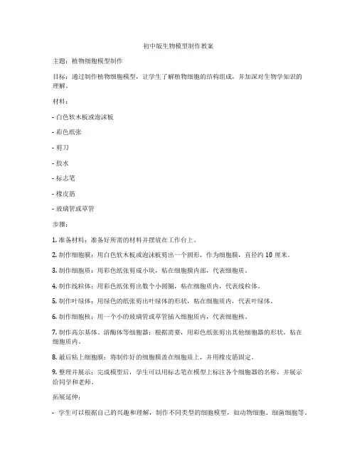 初中版生物模型制作教案