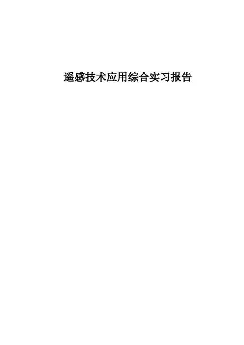 遥感技术应用综合实习报告