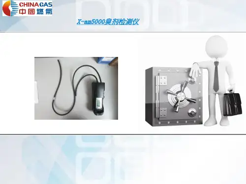 X-am5000检测仪