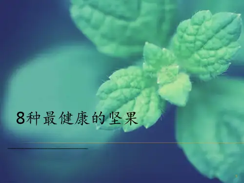 坚果健康ppt课件