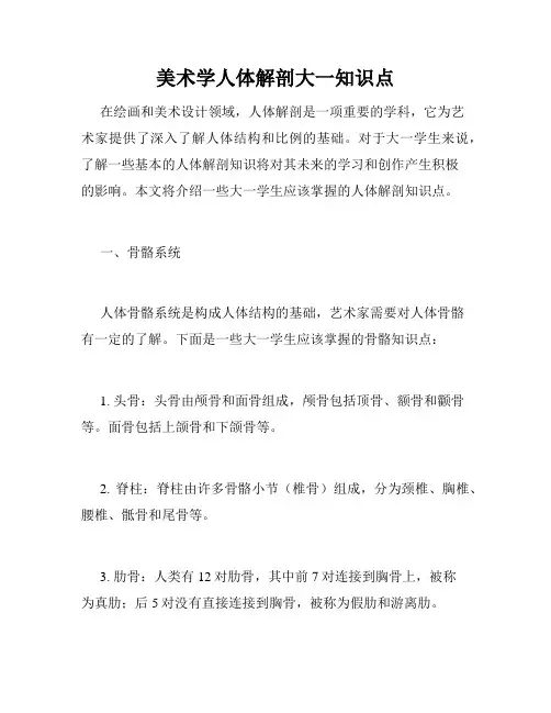 美术学人体解剖大一知识点