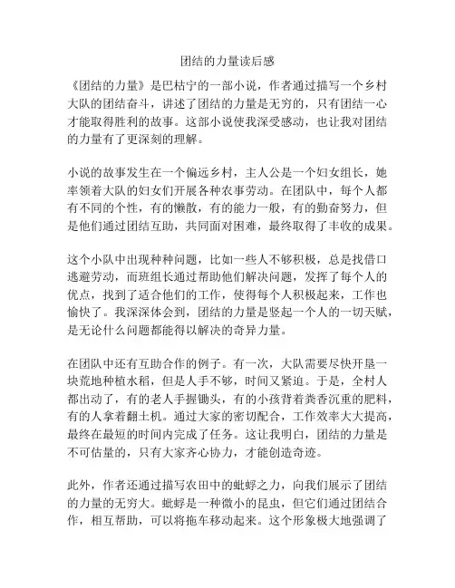 团结的力量读后感