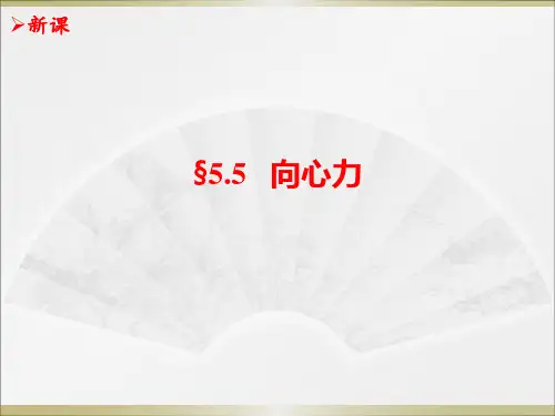 人教版物理必修二 5.6 向心力(共23张PPT)