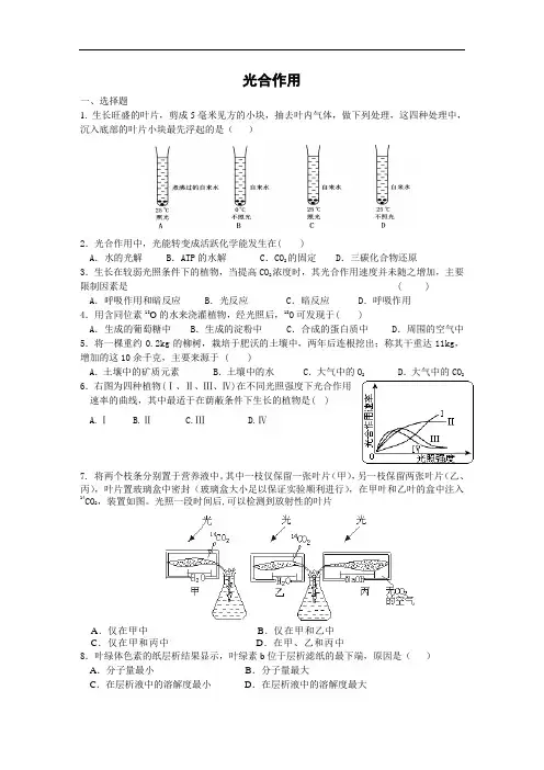 高三生物光合作用练习题及答案