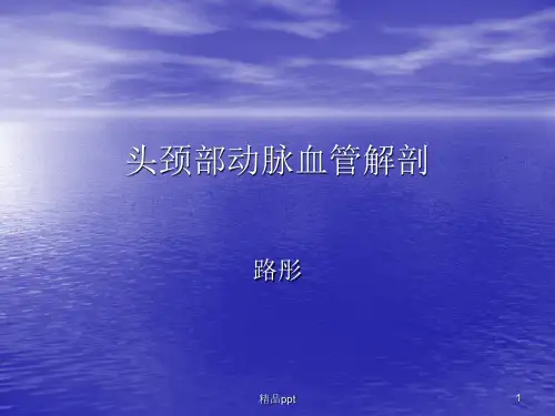 头颈部血管解剖ppt课件