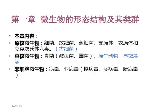 sp01第一章1细菌 食品微生物学课件