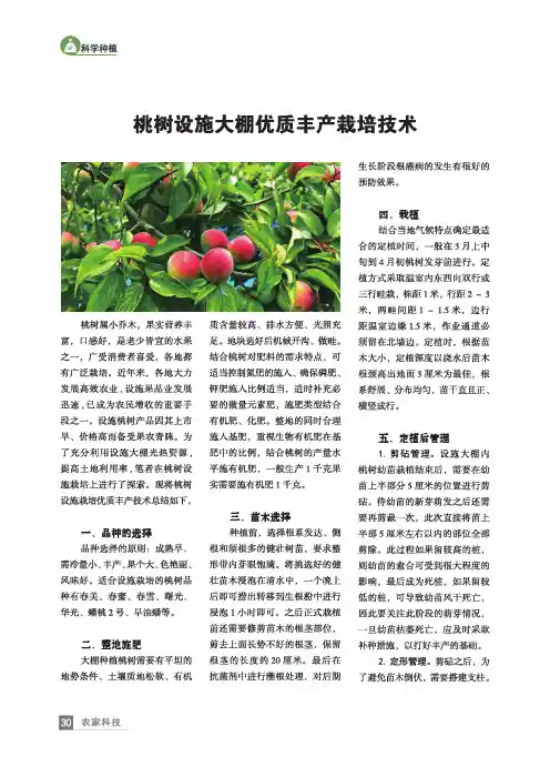 桃树设施大棚优质丰产栽培技术