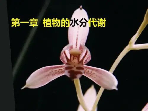 植物生理学第一章 ppt课件