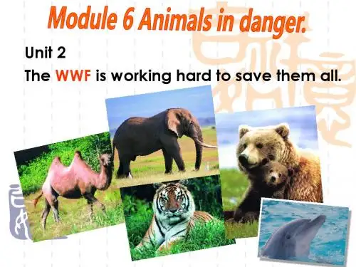 新外研版八年级英语上册Module6 unit2 The WWF is working hard to save them all 优质课课件(共20张PPT)