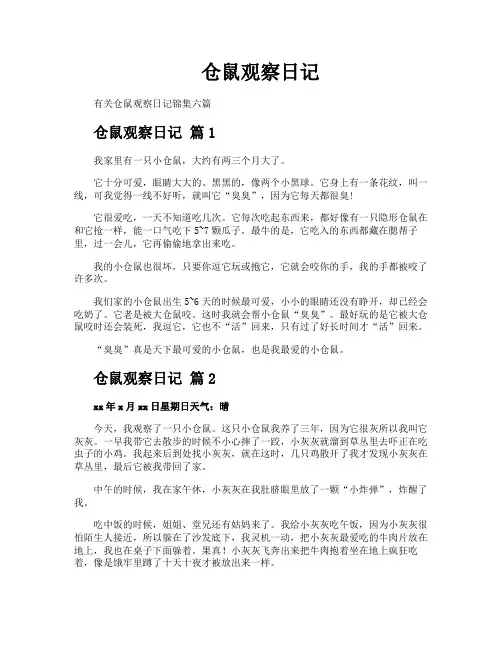 仓鼠观察日记