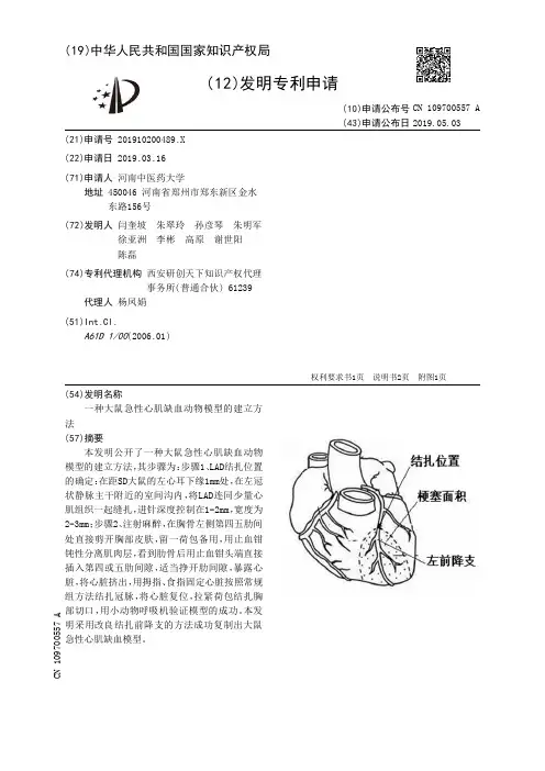 【CN109700557A】一种大鼠急性心肌缺血动物模型的建立方法【专利】