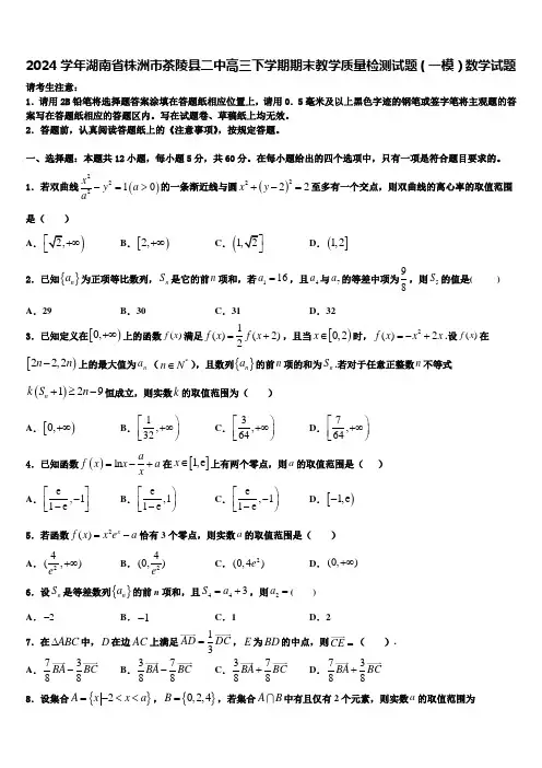2024学年湖南省株洲市茶陵县二中高三下学期期末教学质量检测试题(一模)数学试题