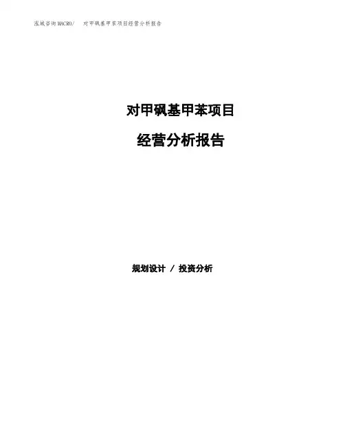 对甲砜基甲苯项目经营分析报告(项目总结分析)