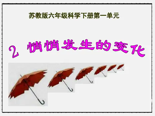 六年级下册科学课件1.2悄悄发生的变化｜苏教版2(共22张PPT)