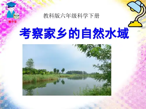 《考察家乡的自然水域》环境和我们-教科版六年级科学下册PPT课件