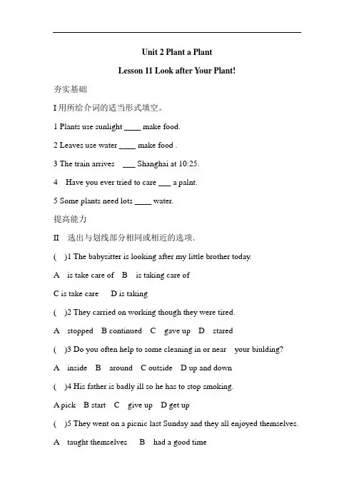 八年级英语Plant a plant同步练习题2
